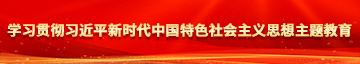 美女操鸡巴网站学习贯彻习近平新时代中国特色社会主义思想主题教育